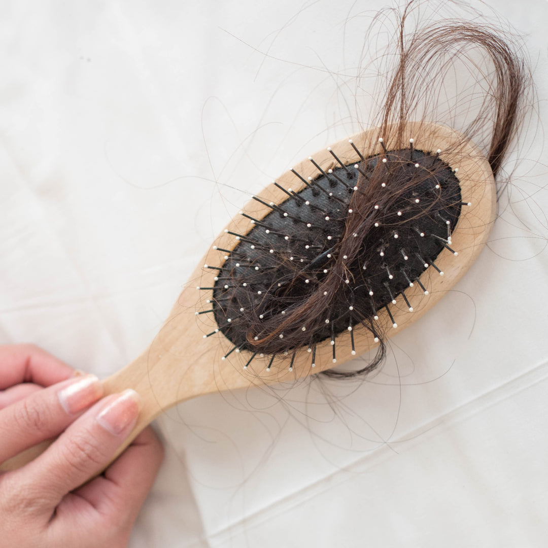 Image of hair brush with a chunk of hair on it